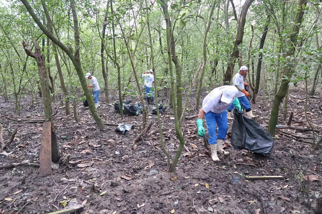 Águas da Guanabara realiza limpeza em mangue de São Gonçalo. Foto: Julio Diniz