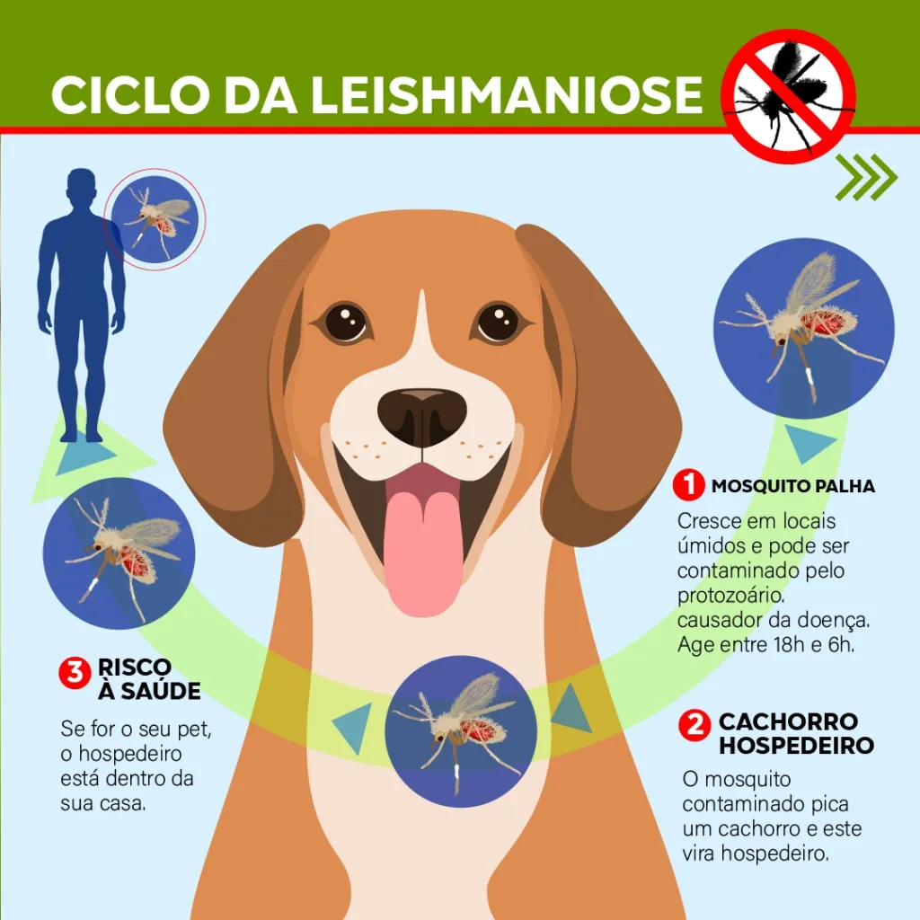 Semana Nacional de Controle e Combate à Leishmaniose. Imagem: Reprodução/https://maraba.pa.gov.br/wp-content/uploads/2022/08/WhatsApp-Image-2022-08-08-at-20.09.40.jpeg