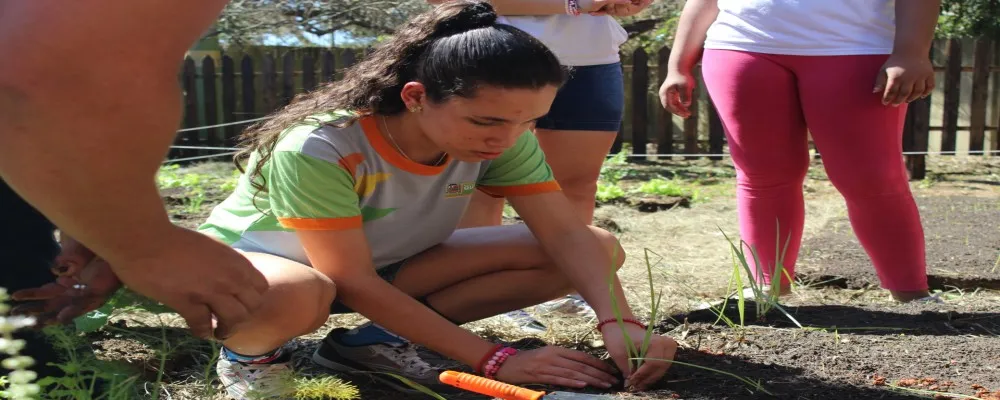 Quintais Sustentáveis transforma espaços ociosos em hortas