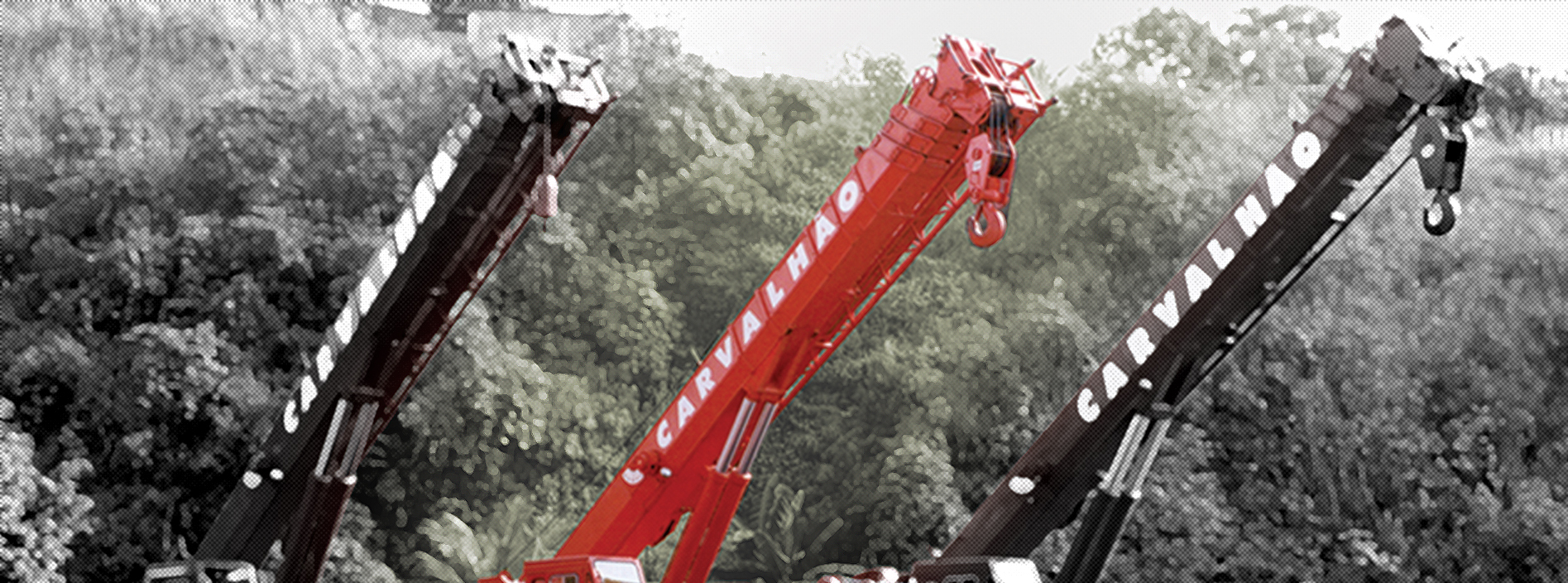 Carvalhão está com 20 vagas de emprego abertas!