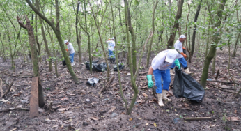 Águas da Guanabara realiza limpeza em mangue de São Gonçalo