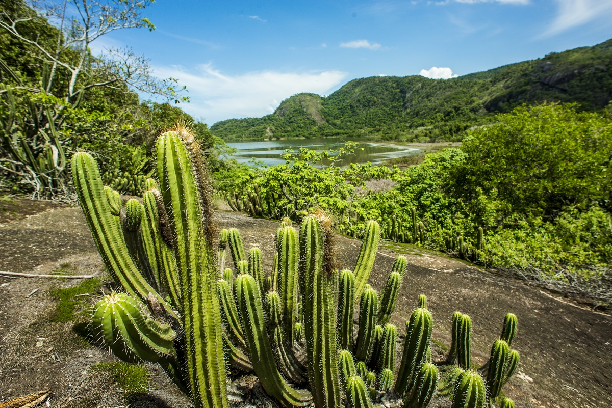 Concurso fotográfico da Prefeitura de Niterói