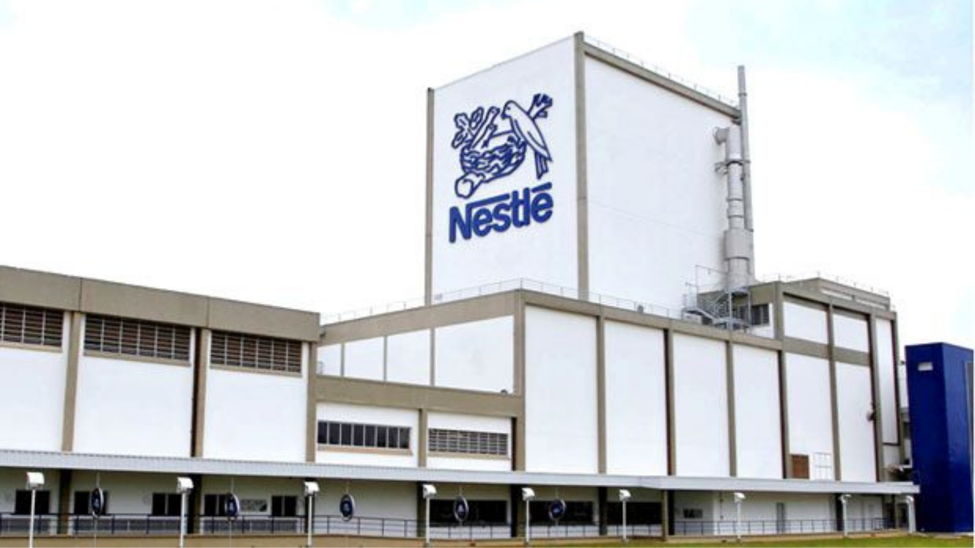 Nestlé investirá R$ 26 milhões em capacitação e inclusão de jovens